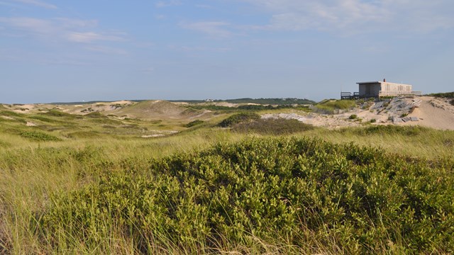 Sweeping image of dunes and vegetation with shack in the distance.