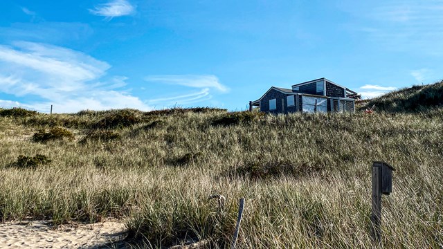 Sweeping dune image of dune shack.